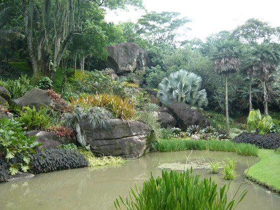 Sitio Roberto Burle Marx